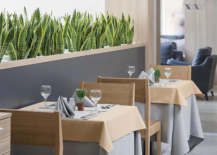 Hvd Viva Club Ultra - Private & Free Parking