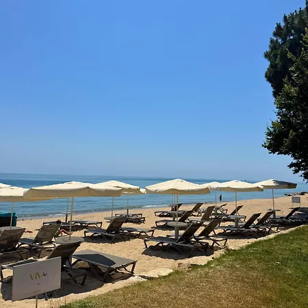 Hvd Viva Club Ultra - Private & Free Parking فندق غولدن ساندز