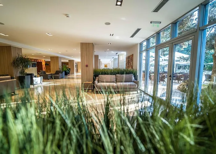 Hvd Viva Club Ultra - Private & Free Parking 4*